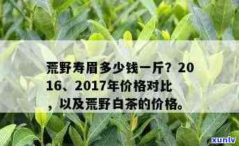 荒野寿眉价格，荒野寿眉茶叶市场价格趋势分析与购买建议