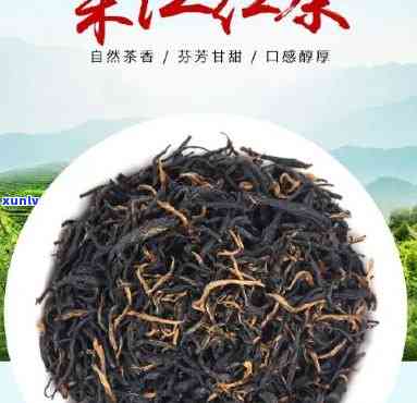 新化渠江红红茶价格-新化渠江红红茶价格查询