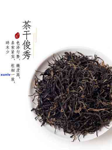 新化渠江红红茶价格-新化渠江红红茶价格查询