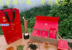 莽山红茶多少钱一盒，莽山红茶价格详解：一盒多少钱？