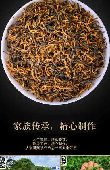 莽山红茶金毛毫价格-金毛豪莽山红茶