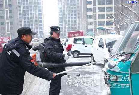 冰雪花卉，冬日花语：探索冰雪花卉的美丽世界