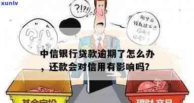 中信银行逾期5天还款会影响信用吗？