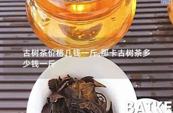 老挝金占芭古树茶多少钱一斤？探究其市场价格与公司信息