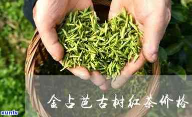 老挝金占芭古树茶多少钱一斤？探究其市场价格与公司信息