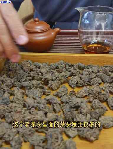 寻找吃的'老茶头'：哪家的味道最棒？