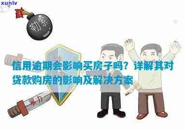 中信有逾期能否贷款买房？影响因素及解决方案