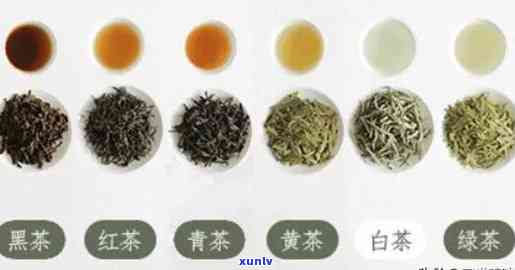 各种茶的保质期多久能喝，茶叶保质期：不同种类的茶叶可以保存多久？