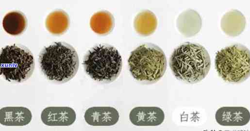 各种不同的茶的保质期，探究茶叶的保质期：不同种类的茶叶保存期限大揭秘