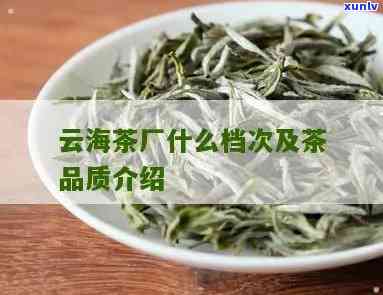 云海茶行概况：了解云海茶行的历、产品与文化