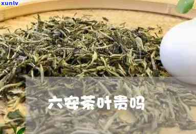 老六安茶价格差别大-老六安茶口感