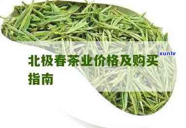 日照北极春红茶价格查询，查询日照北极春红茶的最新价格！