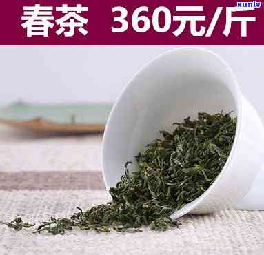 日照北极春红茶价格-日照绿茶北极春多少钱