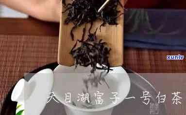 天目湖富子红茶价格-天目湖富子红茶价格表