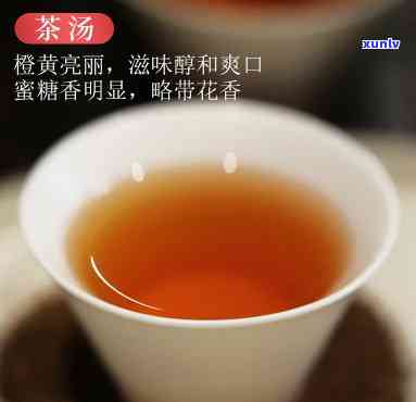 元正开门红工夫红茶价格：150克多少钱？红3号与功夫茶的区别是什么？