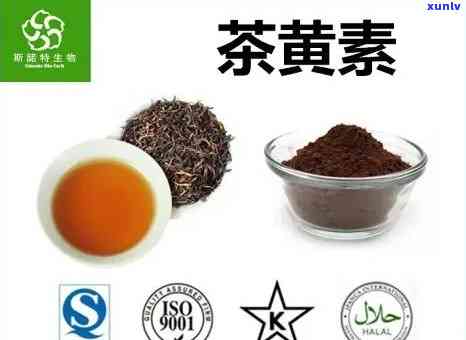 哪种红茶的茶黄素含量更高？探究红茶茶黄素分布情况