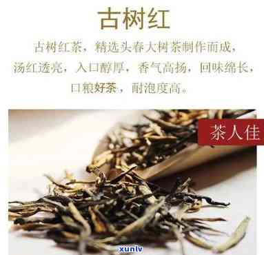 润元古树红茶价格-润元古树红茶价格180克