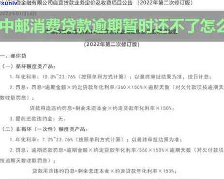 中邮消费金融逾期七天了，能否申请期还款？解决方案是什么？