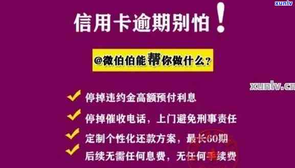 中信卡查询逾期信息：步骤、记录与明细全攻略