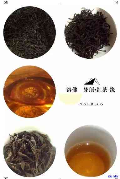 花语门红茶：揭开其独特的茶语与告语