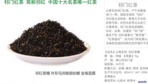 门红茶红香螺价格-门红茶香螺多少钱一斤