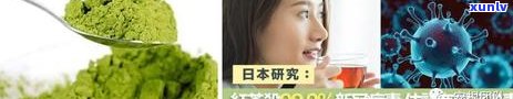 现代科学对茶的研究-关于茶的科学研究