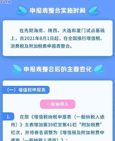 消费税逾期未申报情况说明文详细解析