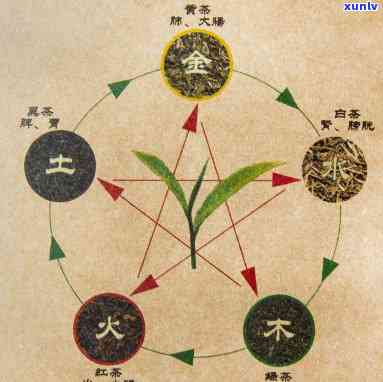 同仁堂五行茶的成分及介绍