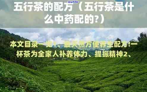 同仁堂五行茶的成分-同仁堂五行茶的成分有哪些