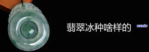 翡翠冰绿是什么种，解密翡翠冰绿的品种：它是什么样的翡翠？