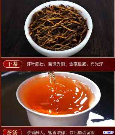 入口知功夫红茶：品味其独特的口感与价值