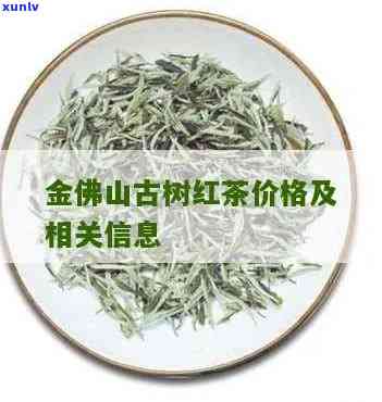 金佛山古树红茶价格多少，探索金佛山古树红茶的市场价格