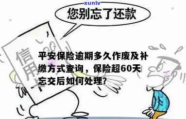 平安保险逾期多久作废？保险已交3年想退，超60天未交怎样解决？