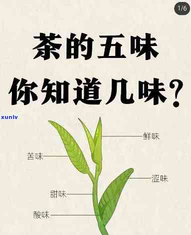 茶的六种味道是什么-茶的六种味道是什么意思