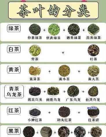 各种茶的特点是什么-各种茶的特点是什么呢