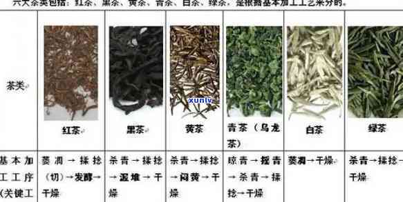 茶分为哪六类各有什么特点，探索茶叶世界：六类茶的特点详解