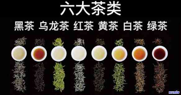 茶的六大分类是什么-茶的六大分类是什么意思