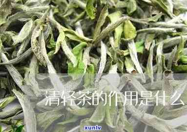 清心茶的功效是什么-清心茶的功效是什么呢