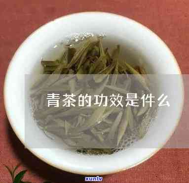 青茶的作用是什么-青茶的作用是什么功效