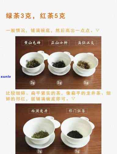 泡茶的小茶杯几毫升？选择合适的容量很重要