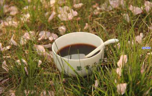 澜沧古茶乌金乌金茶-澜沧古茶的乌金茶的功效与作用