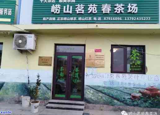 晓阳春崂山茶专卖店：胶州店与崂山茶厂全方位介绍