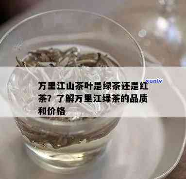 青岛万里江红茶价格-青岛万里江红茶价格多少