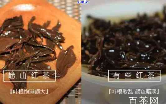 山东崂山红茶价格-山东崂山红茶怎么样