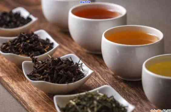 朝做茶：什么茶？什么茶叶？属于哪一茶类？