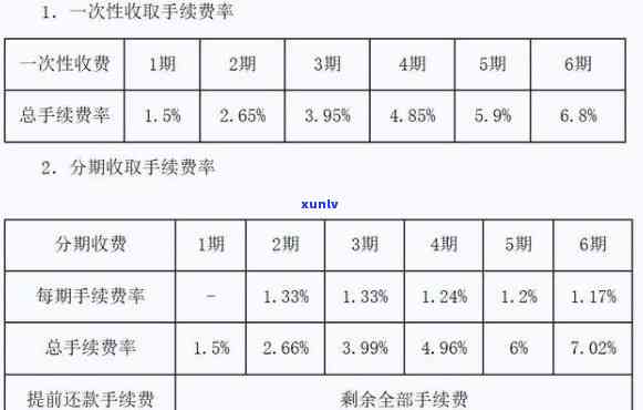 翡翠冰春是什么意思，探秘翡翠冰春：解读其含义与由来