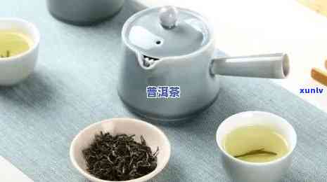 功夫茶的茶叶有哪些，探究功夫茶的独特魅力：茶叶品种大盘点