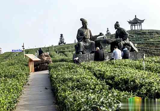 万佛山茶文化中心，探索万佛山茶文化：走进万佛山茶文化中心