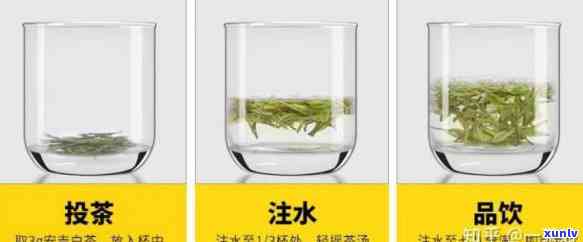 深入了解水与茶的区别是什么意思？