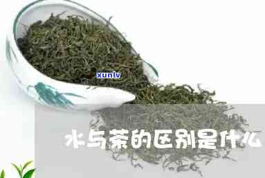 深入了解水与茶的区别是什么意思？